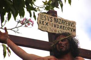 1484692_973770755997050_4999705898158769240_n