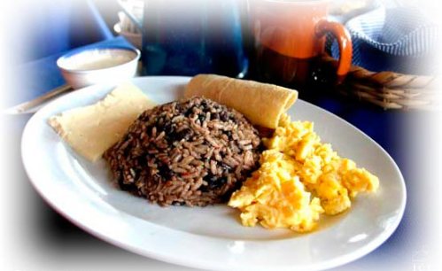 gallo_pinto-1-a
